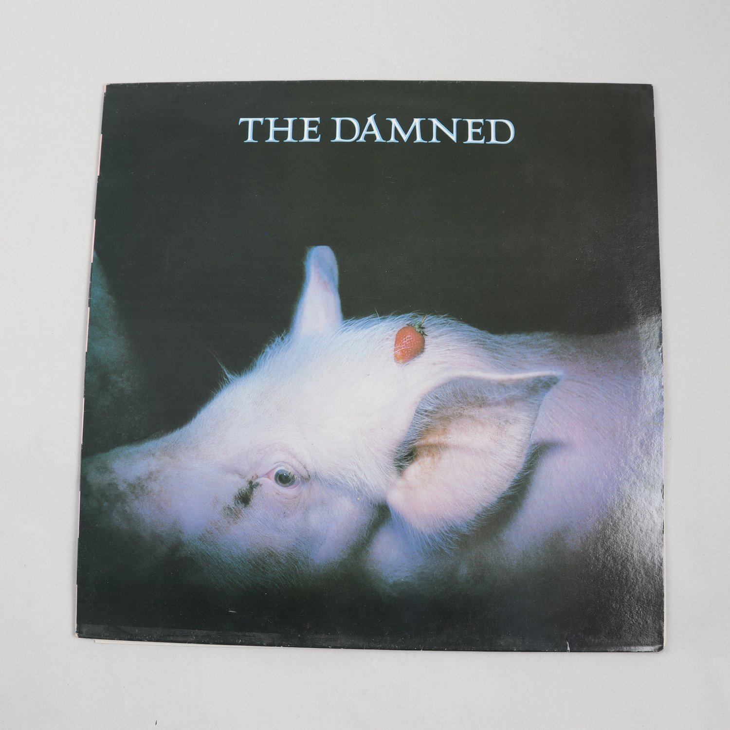 LP The Damned, Strawberries
