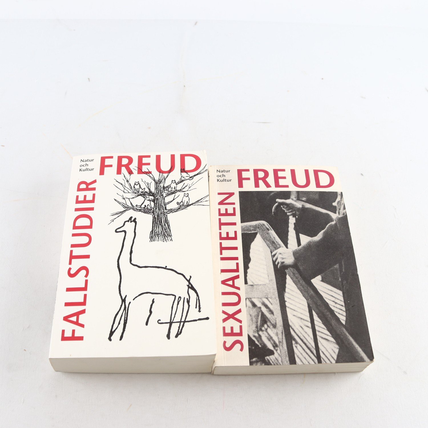 Sigmund Freud, Sexualiteten + Fallstudier