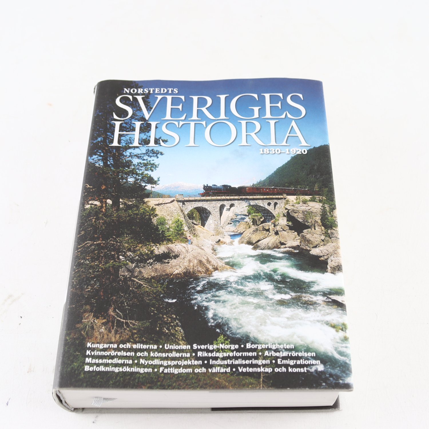 Norstedts Sveriges historia 1830-1920, Bo Stråth