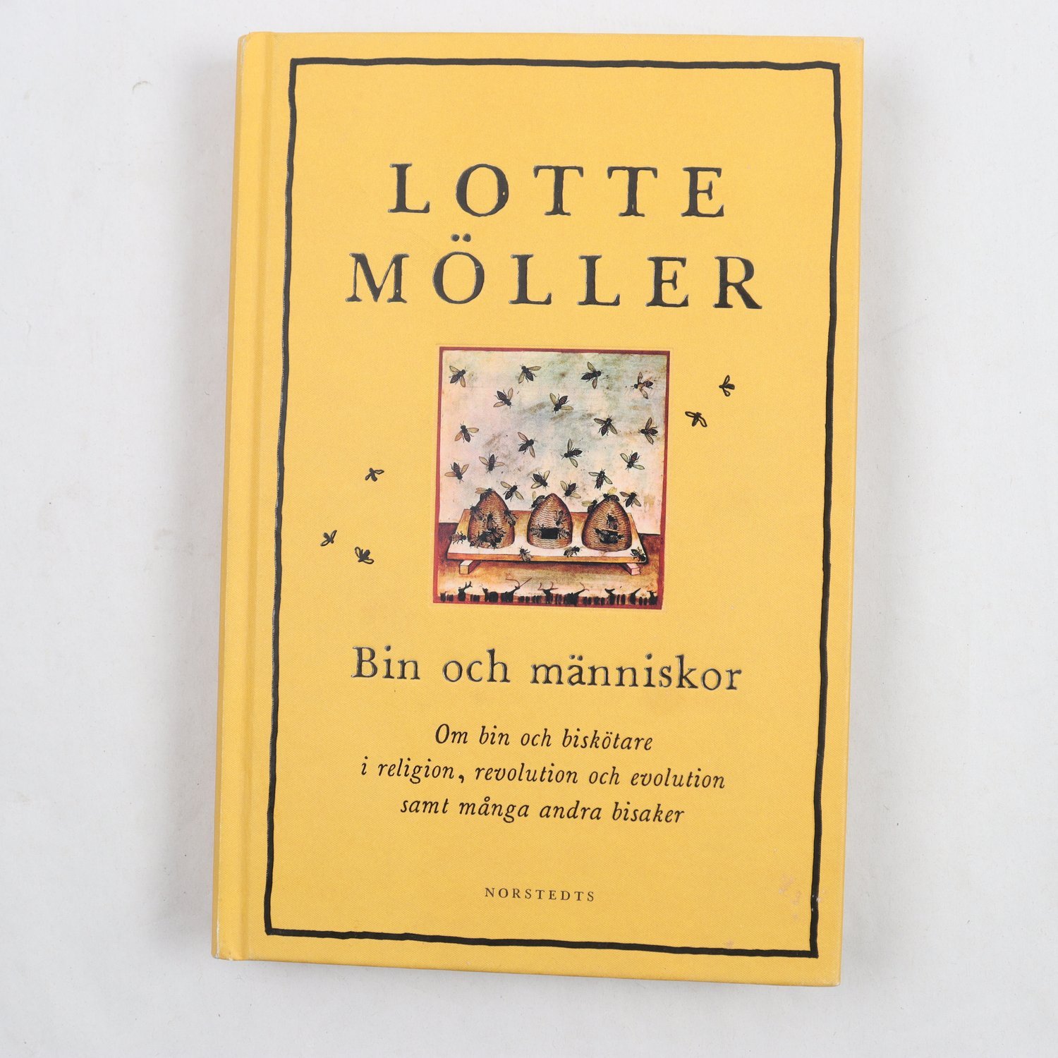 Bin och människor, Lotte Möller