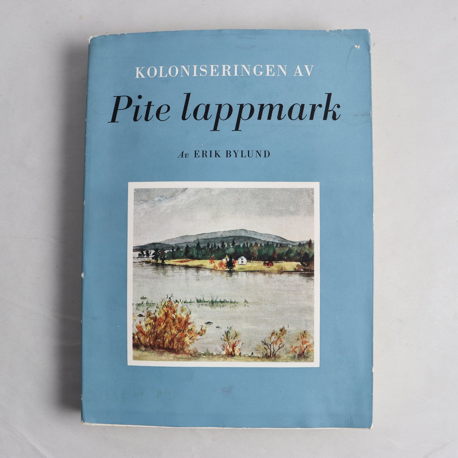 Koloniseringen av Pite lappmark t o m år 1867, Erik Bylund