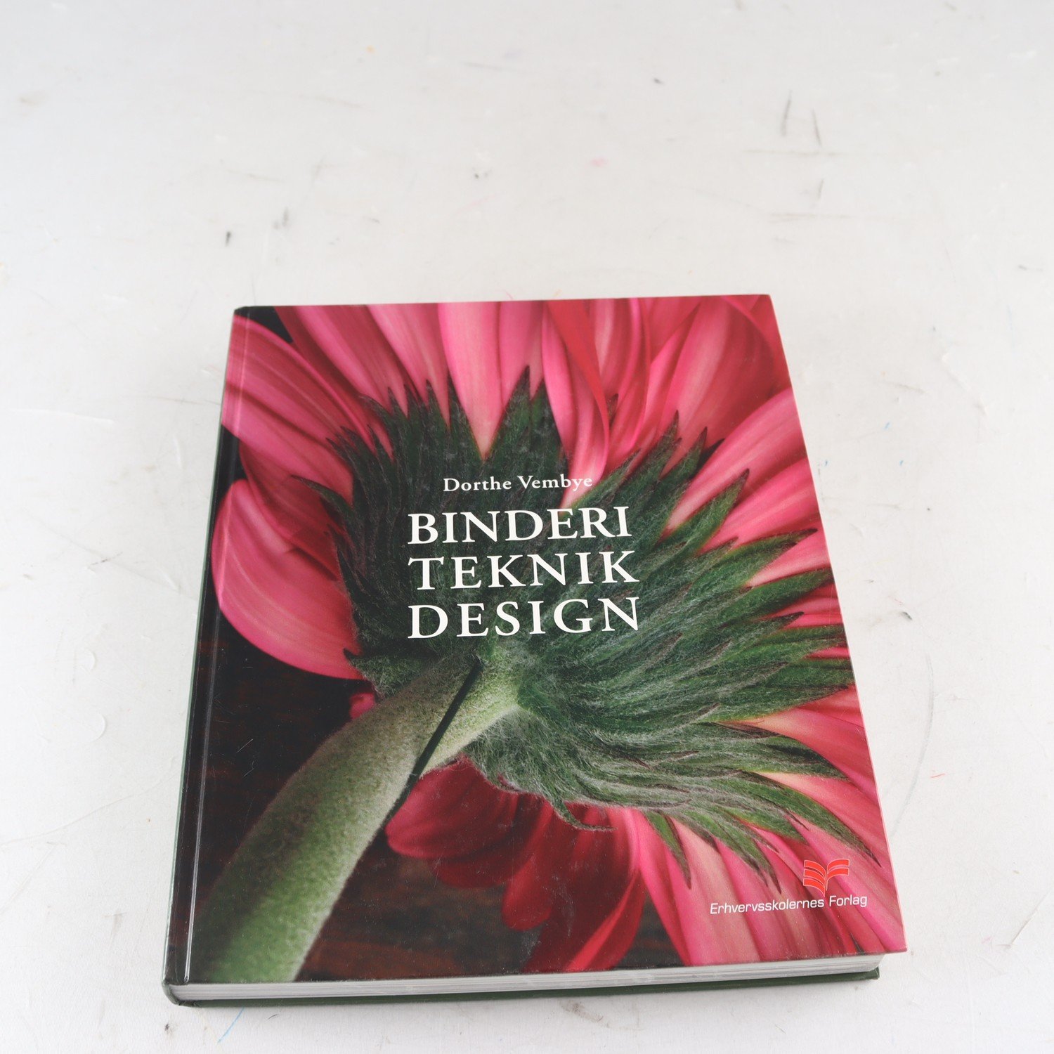 Binderi teknik design, Dorthe Vembye