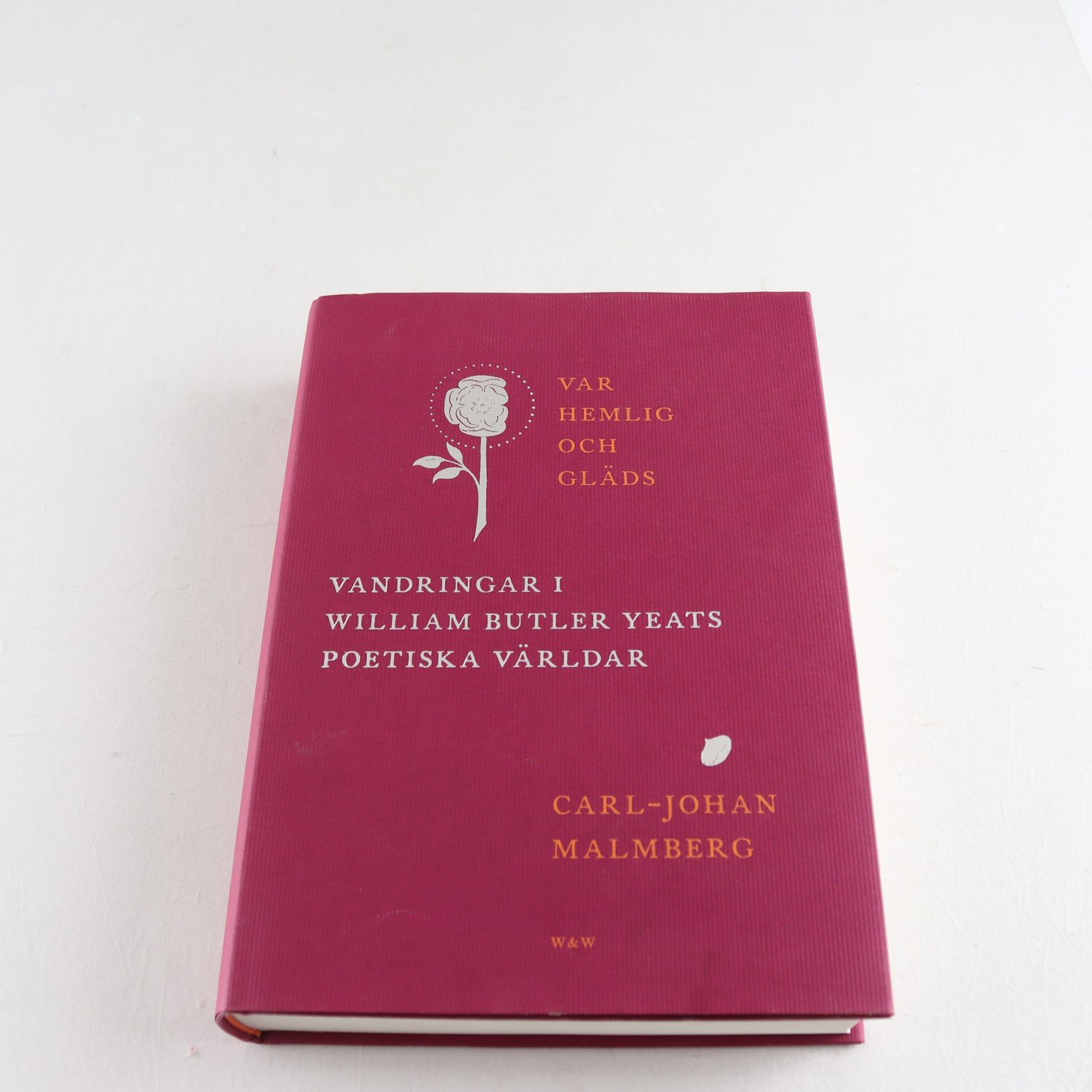 Var hemlig och gläds: Vandringar i William Butler Yeats poetiska världar