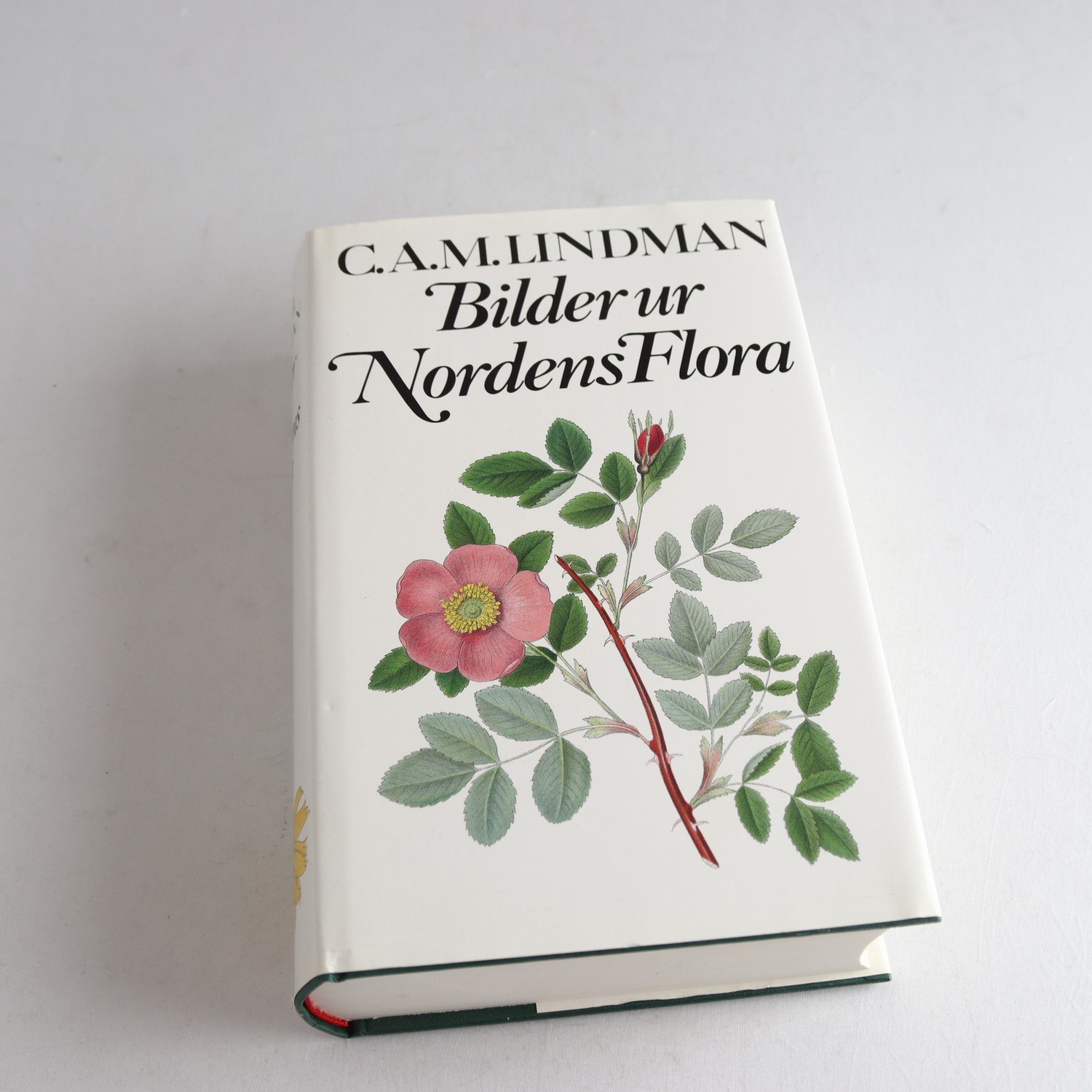 C. A. M. Lindman, Bilder ur Nordens flora