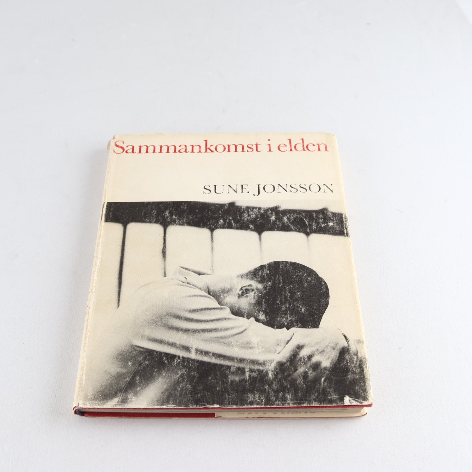 Fotobok, Sammankomst i elden – Sune Jonsson