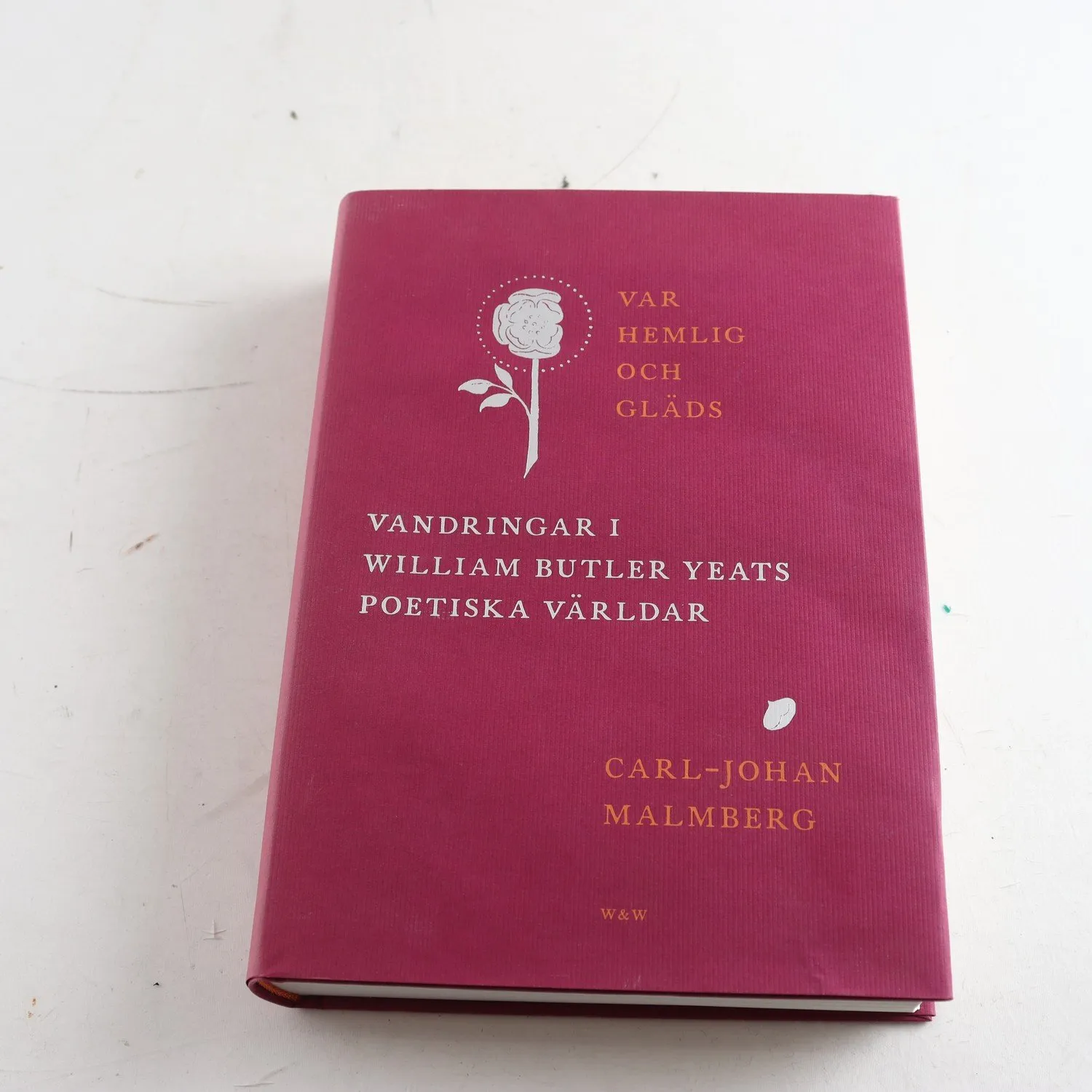 Var hemlig och gläds: Vandringar i William Butler Yeats poetiska världar