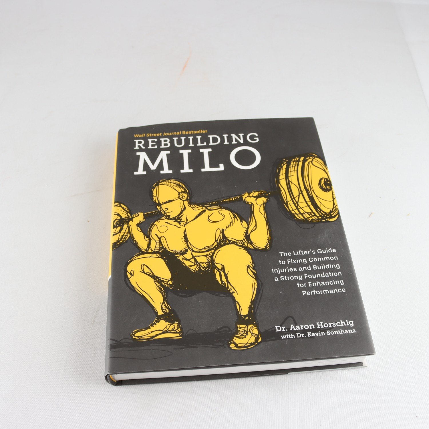 Dr. Aaron Horschig, Rebuilding Milo