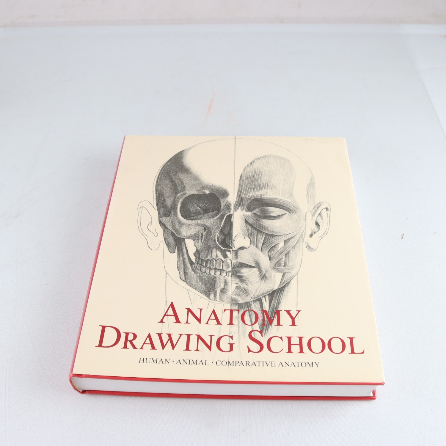 Anatomy Drawing School